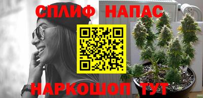 круглые Лесосибирск