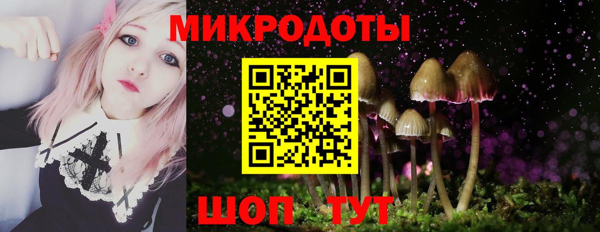 Галлюциногенные грибы мухоморы Камышлов