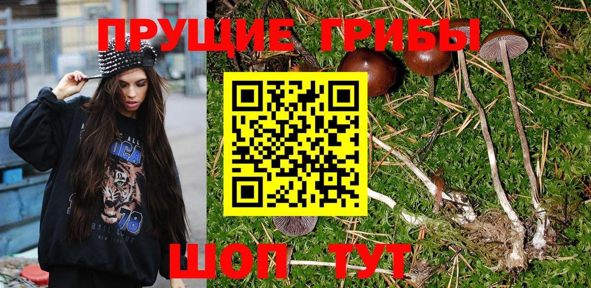 Псилоцибиновые грибы Magic Shrooms  Вход с VPN  Камышлов 